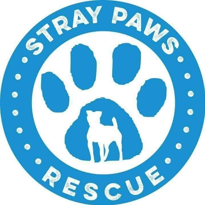 Stray Paws Rescue